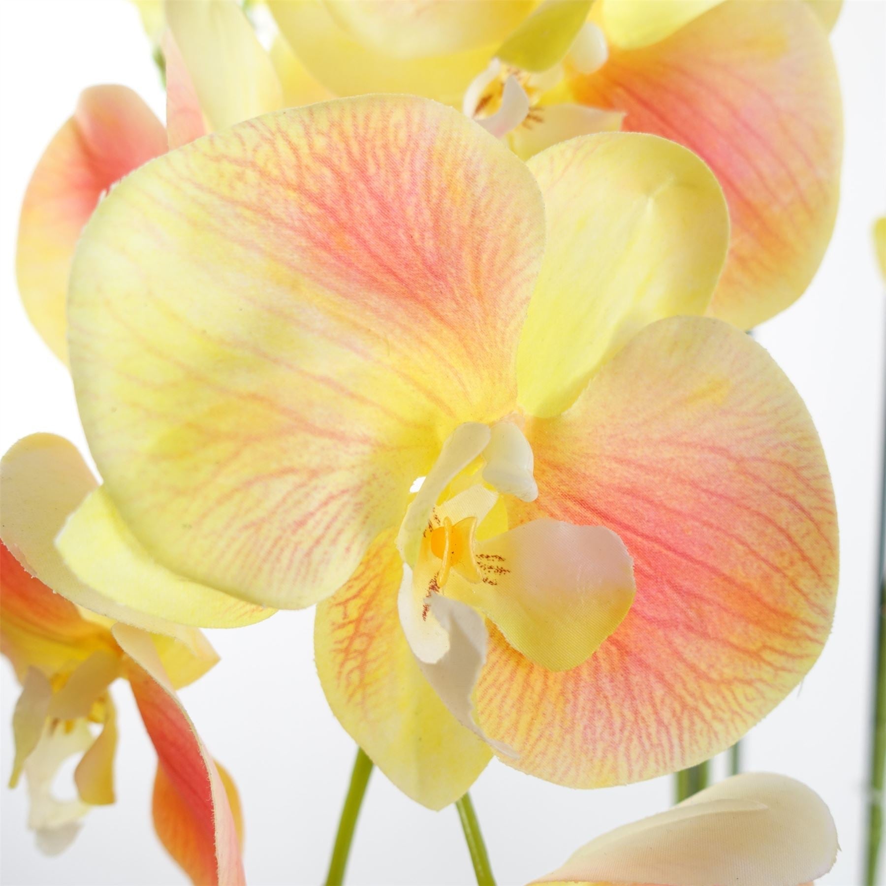 Large Yellow Artificial  Orchid Plant Artifcial 41 REAL TOUCH flowers Botanik
