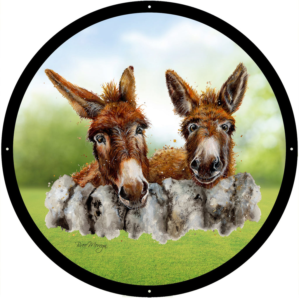 Donkey Garden Mirror