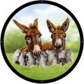 Donkey Garden Mirror