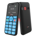 TTfone TT190 with Mains Charger Giffgaff SIM Network